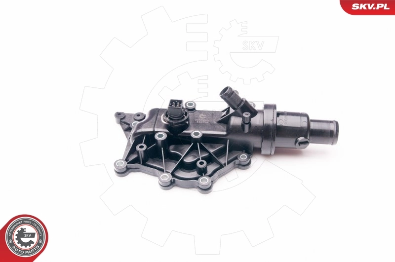Thermostat, coolant